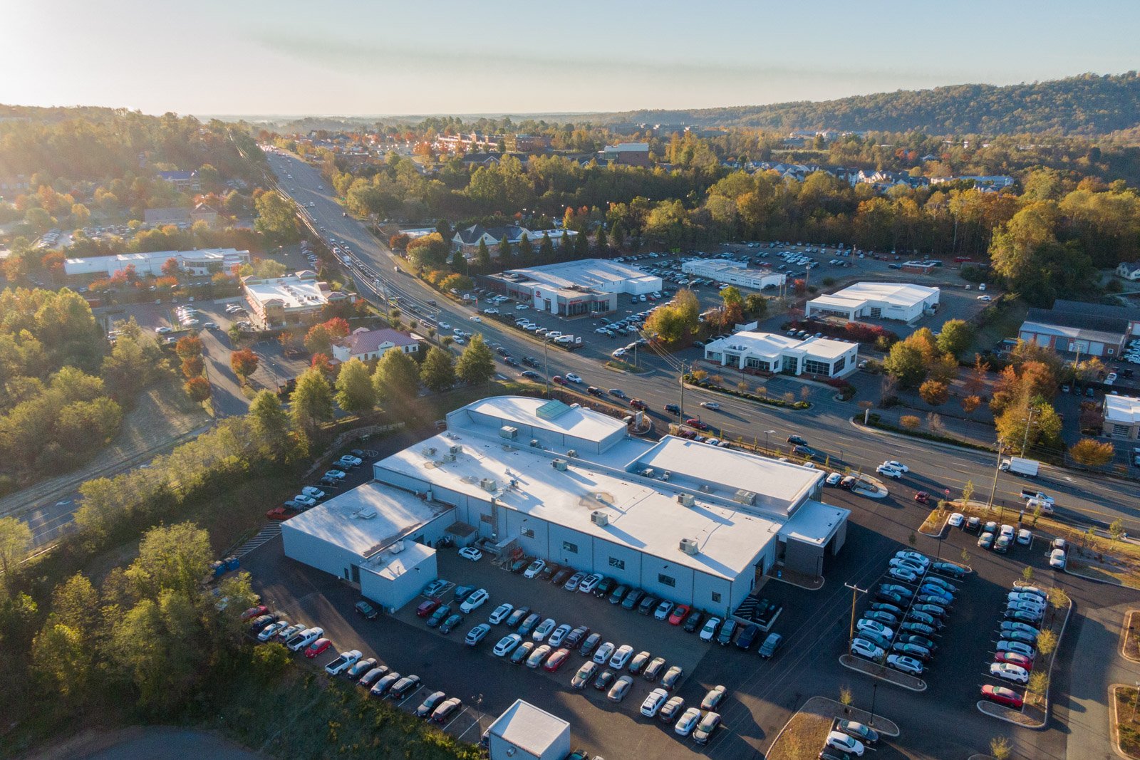 Flow Automotive: Ownership and Business Structure